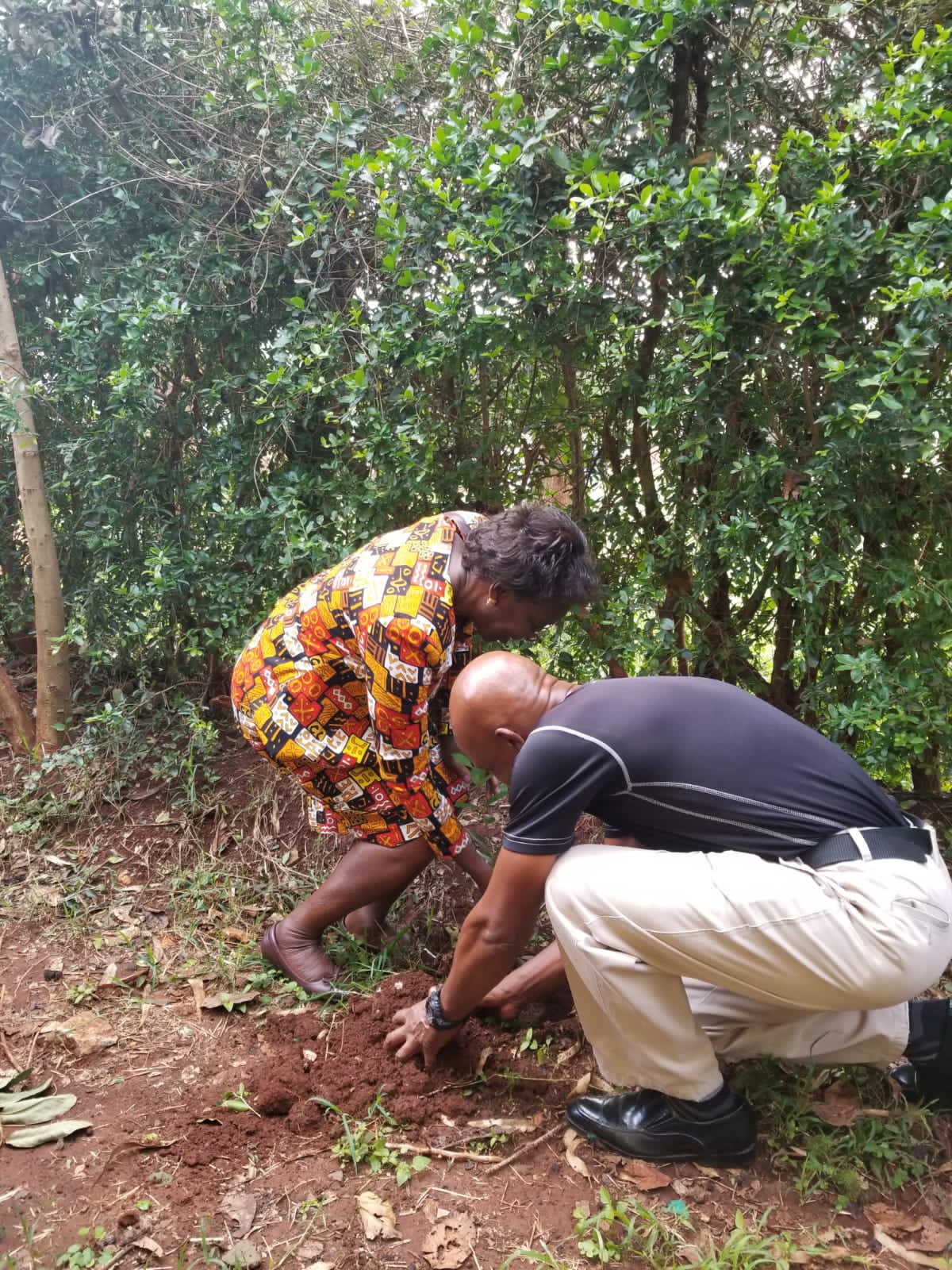 tree planting by clad members photo