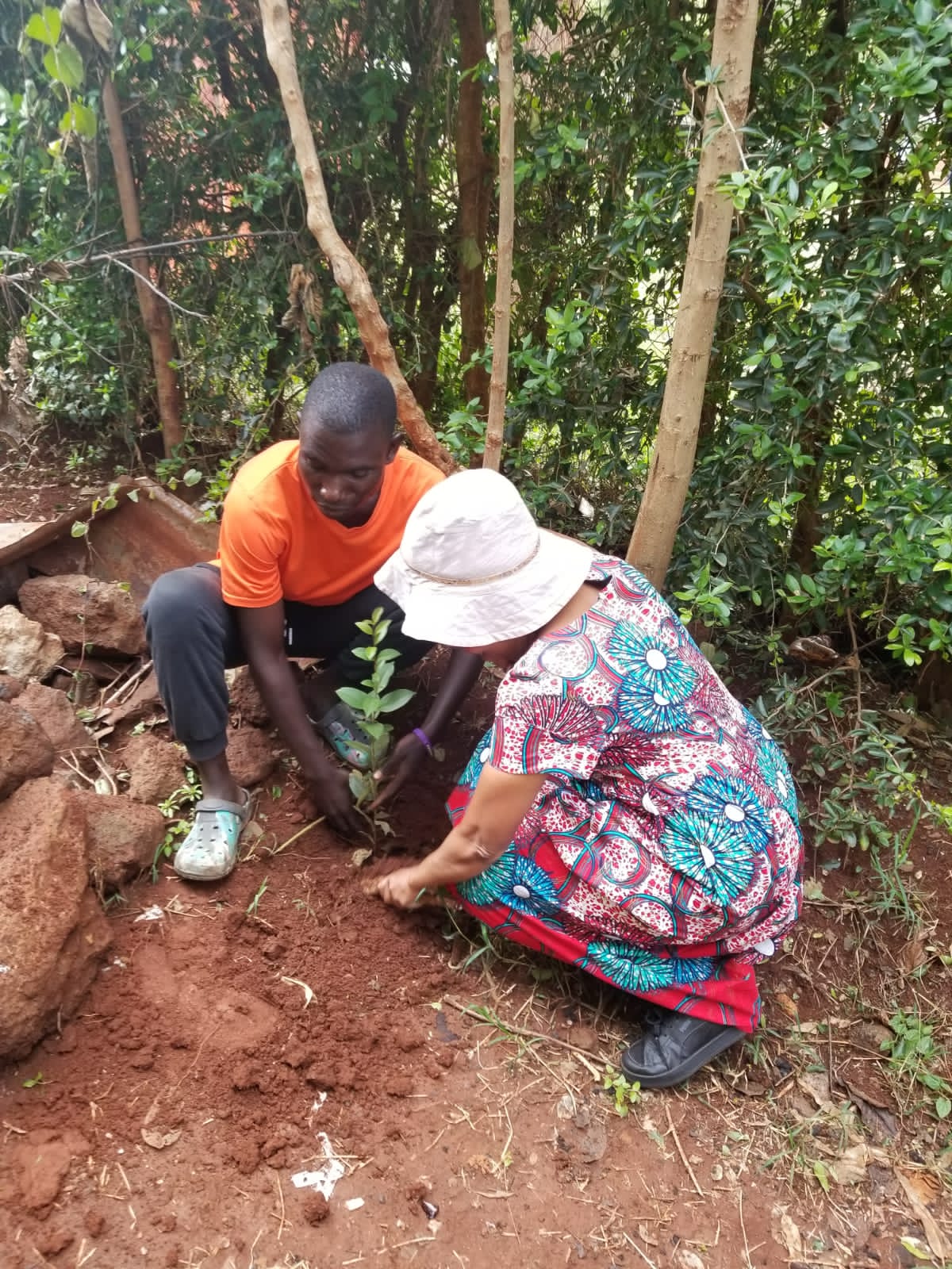 tree planting by clad members photo