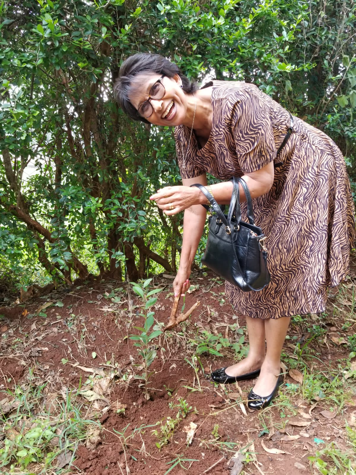 tree planting by clad member photo