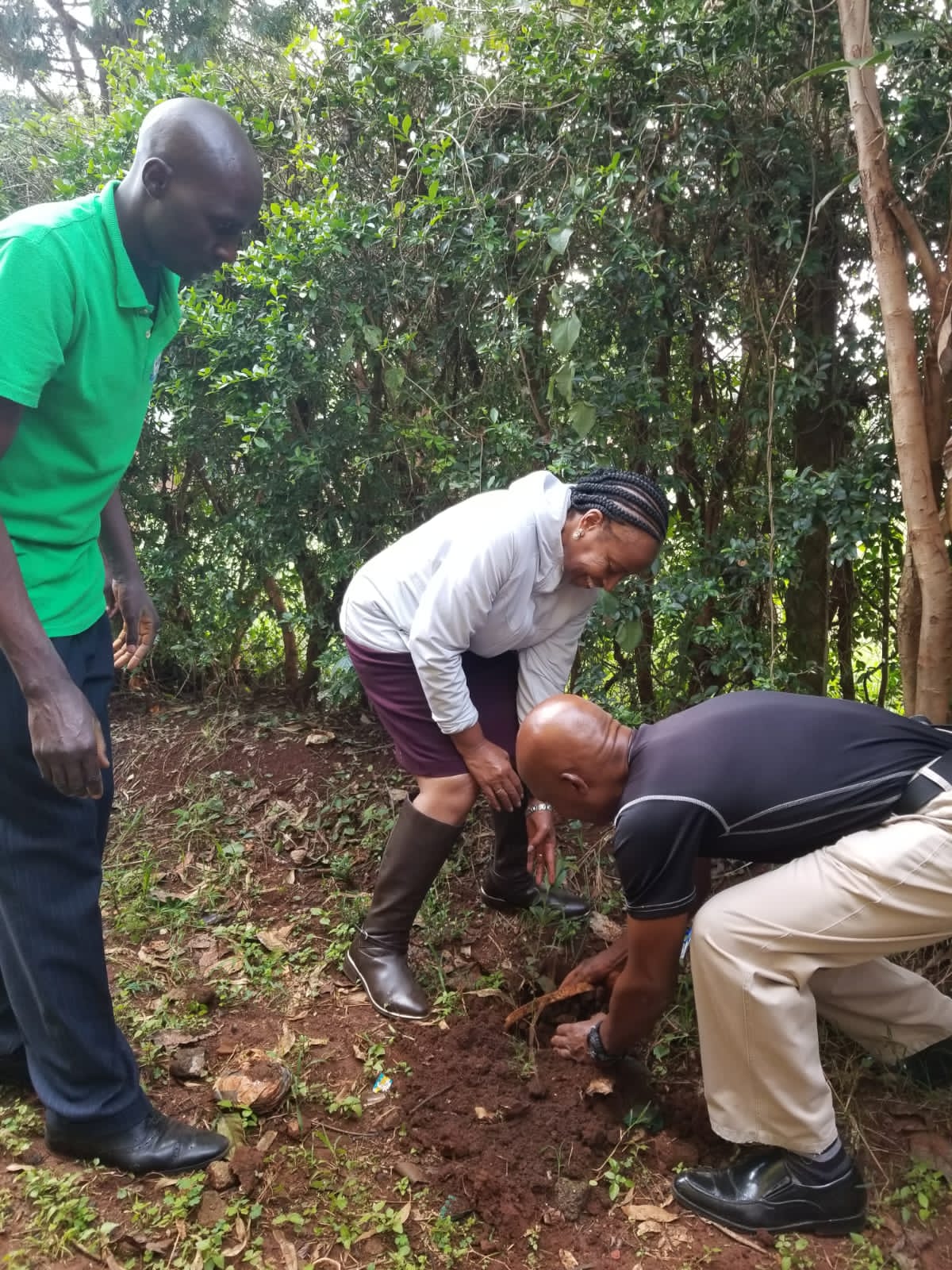 tree planting by clad members photo